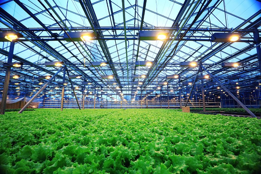 Eco-friendly Greenhouse Pole Barn