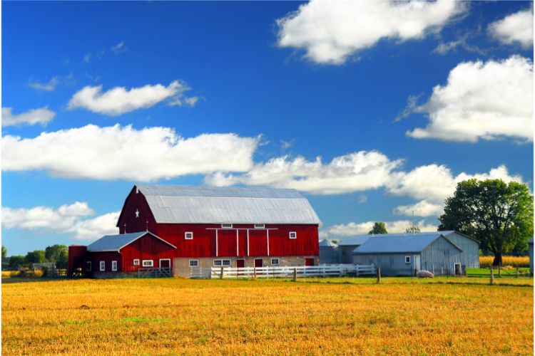 Pole Barn Storage Solution