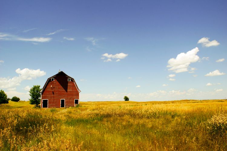 pole barn haven for animals in nebraska