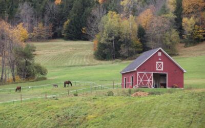 10 Reasons Why Pole Barns Are the Ultimate Multi-Purpose Buildings