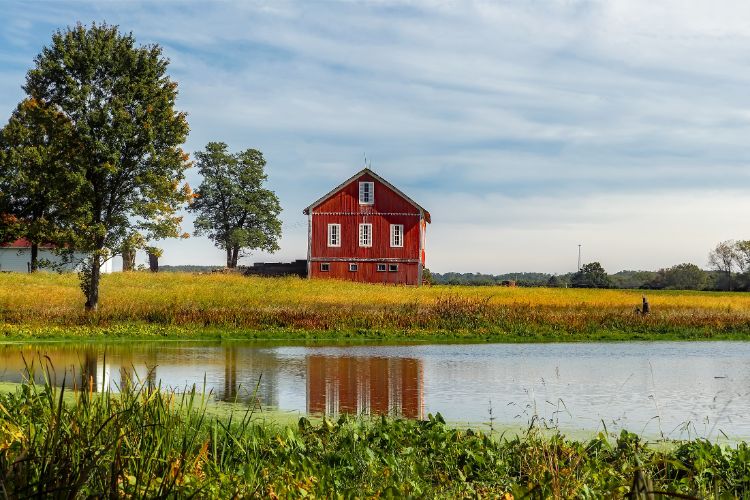 barn building for various uses