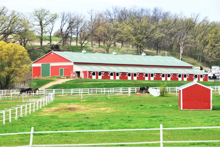 horse barn and a field for horses