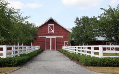 Affordable Horse Barn Design Ideas