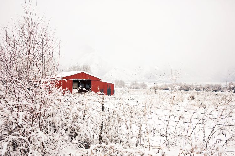 utah pole barn customization